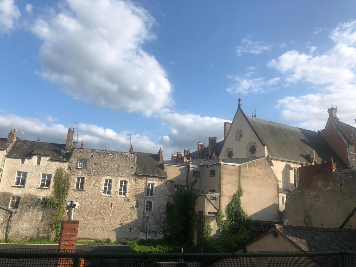 Cote Chateau - Grand Appartement Au Coeur De Blois Esterno foto