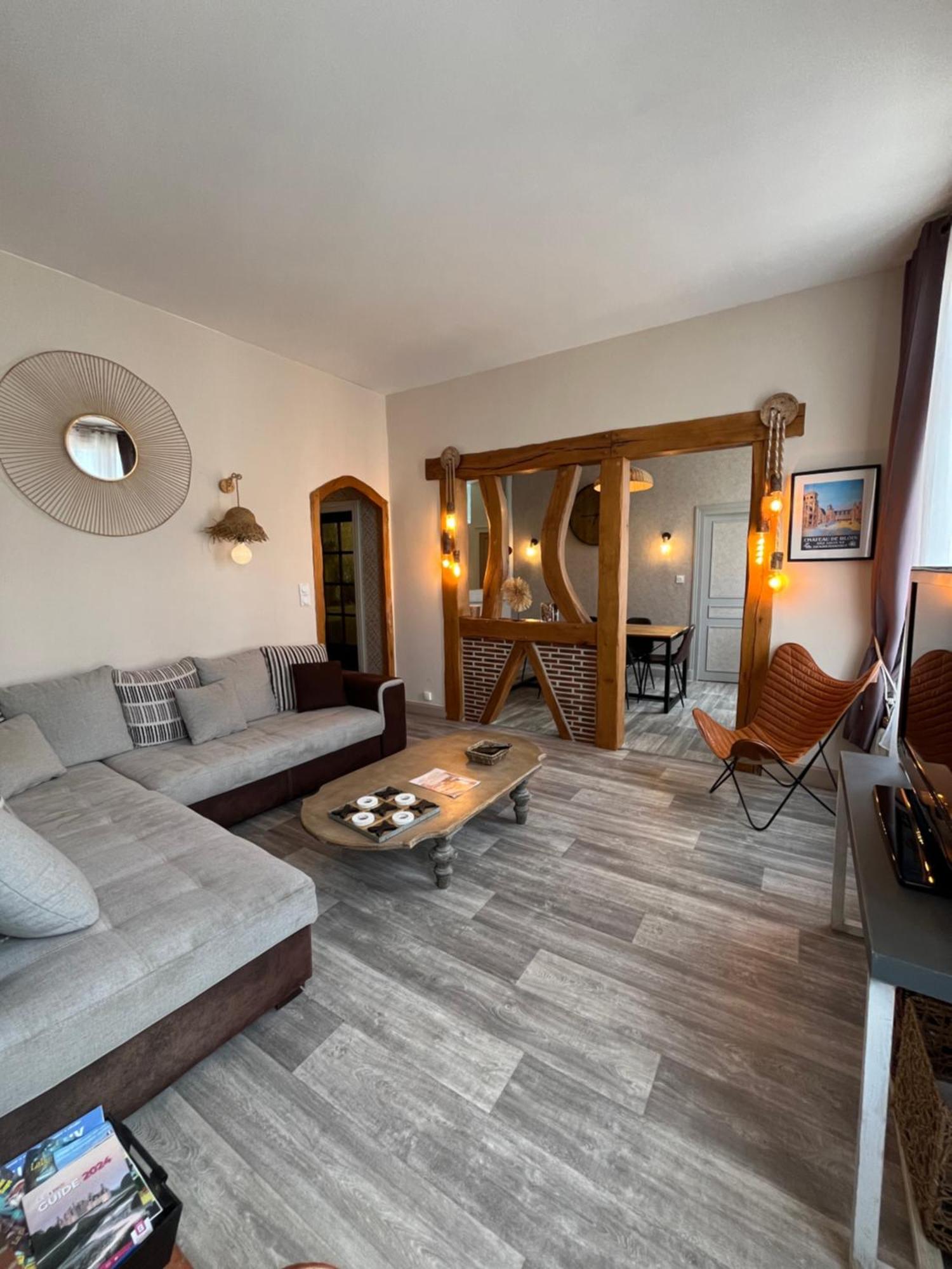 Cote Chateau - Grand Appartement Au Coeur De Blois Esterno foto